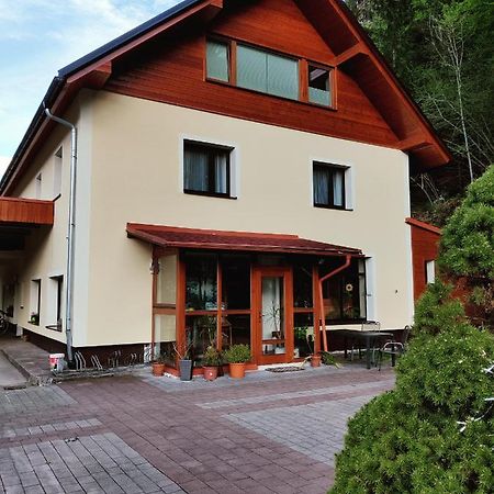 Seeblick Krippenstein Obertraun Dış mekan fotoğraf