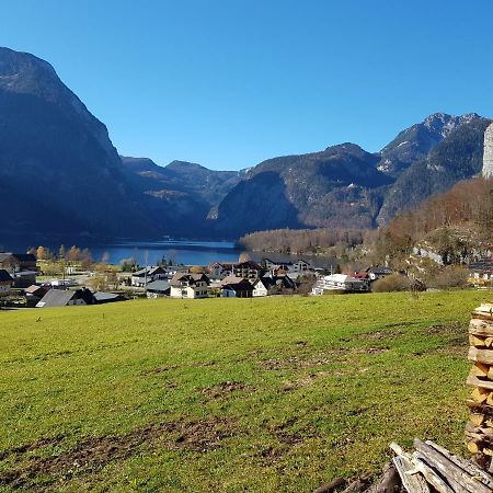 Seeblick Krippenstein Obertraun Dış mekan fotoğraf