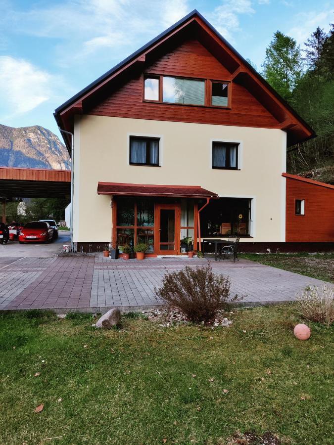 Seeblick Krippenstein Obertraun Dış mekan fotoğraf