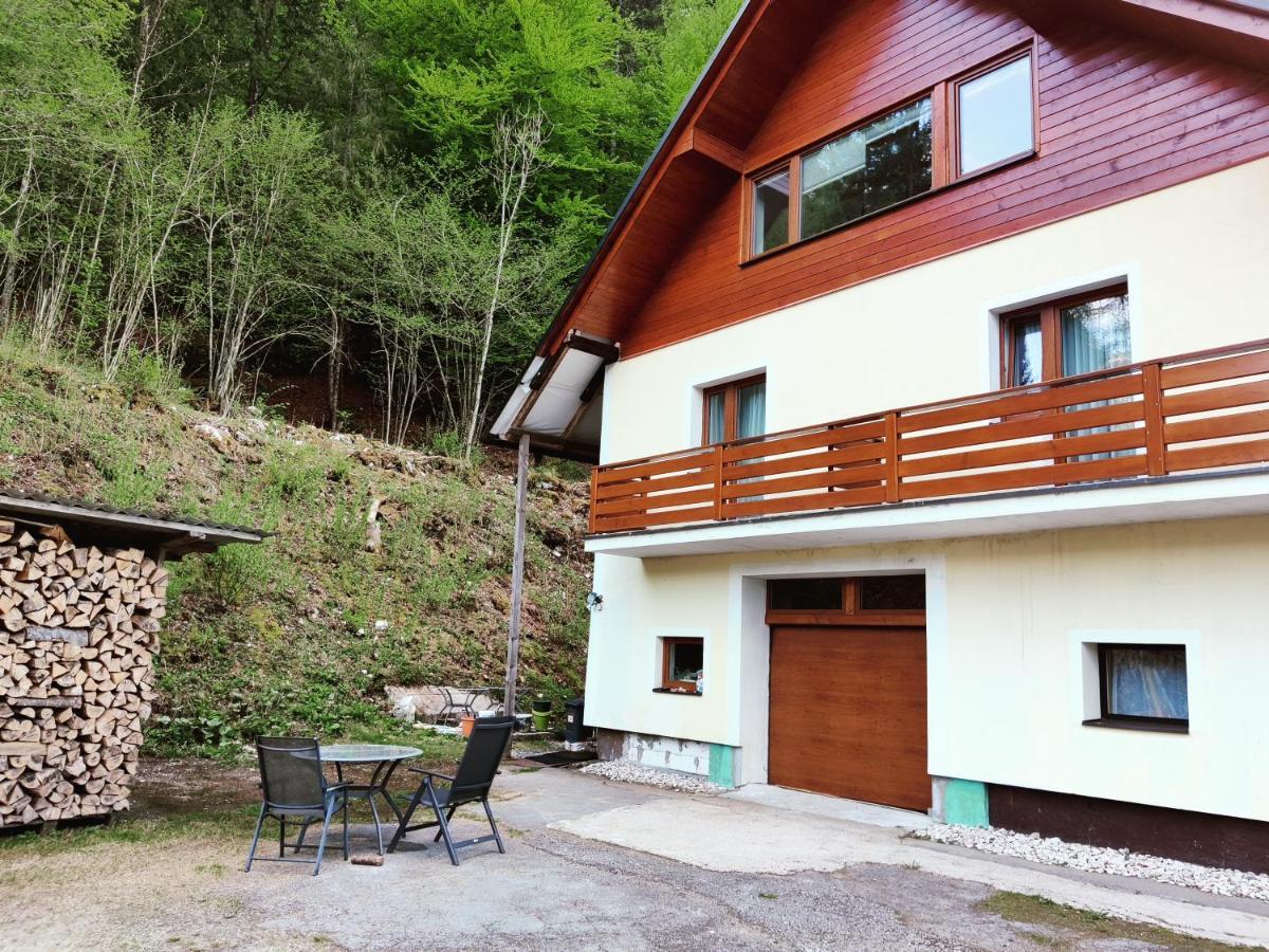 Seeblick Krippenstein Obertraun Dış mekan fotoğraf