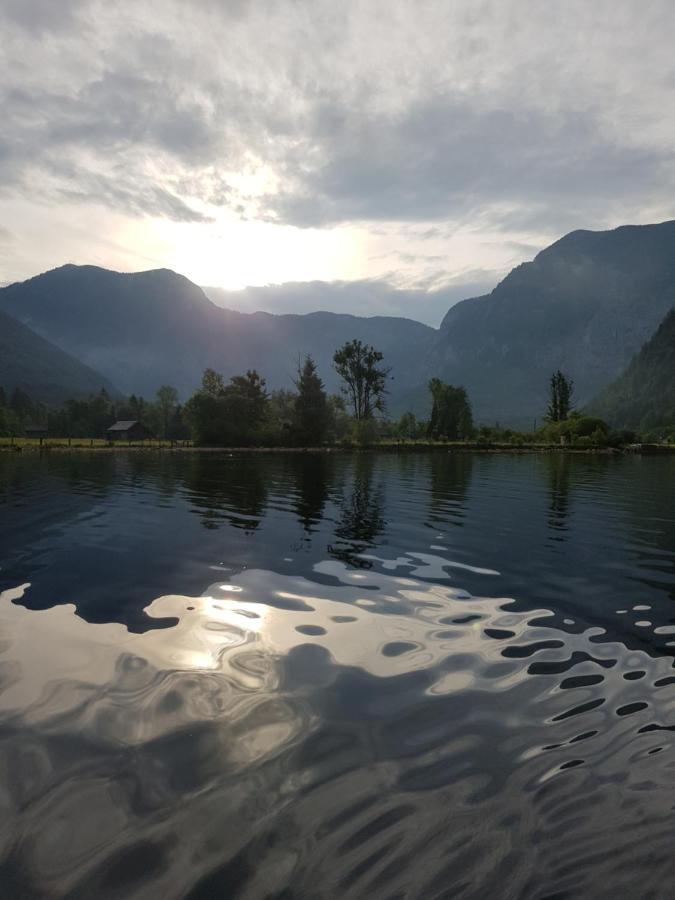 Seeblick Krippenstein Obertraun Dış mekan fotoğraf
